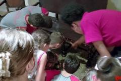 IMG_20260616_152206