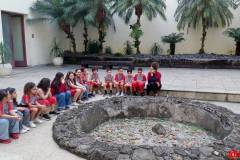 IMG_20260617_153035