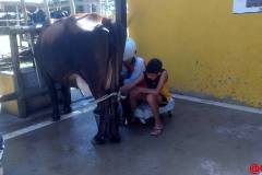 00000IMG_00000_BURST20251027142601_COVER