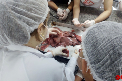 IMG_20231019_073817842