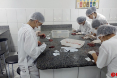 IMG_20231019_082500212