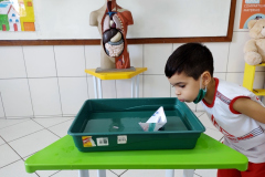 IMG_20220909_144412385