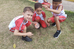 IMG_20230313_131225056