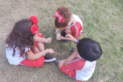 IMG_20230313_132259462