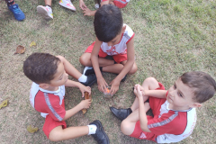 IMG_20230313_132505263_BURST001