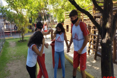 IMG_20230206_090331332