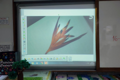 IMG_20230531_085633152