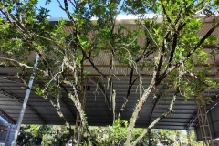 IMG_20230323_081036295_HDR