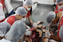 IMG_20231128_101954832