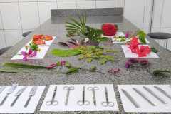 WhatsApp-Image-2022-08-12-at-16.43.01-1