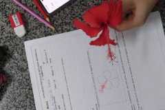 WhatsApp-Image-2022-08-12-at-16.43.02-2