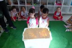 IMG_20240305_135705