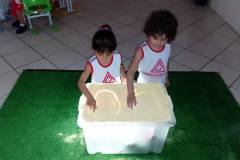 IMG_20240305_141306