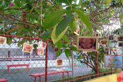 IMG_20260508_071421