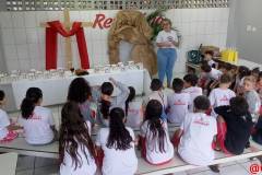 IMG_20250417_092649