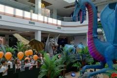 IMG_20260825_091629_HDR