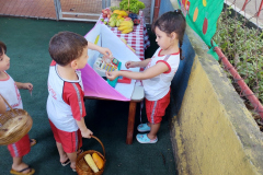 IMG_20231114_135453426