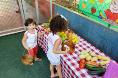 IMG_20231114_135524262