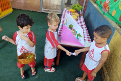 IMG_20231114_140929745_BURST001