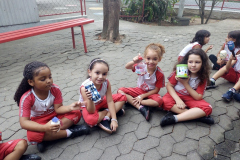 IMG_20231120_162421152