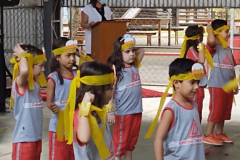 IMG_20220504_160300791_MP