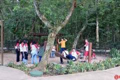 IMG_20260519_101201