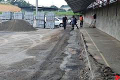 IMG_20251124_073221650