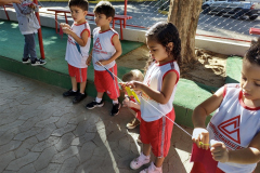 IMG_20230620_143921944_HDR