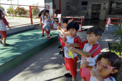 IMG_20230620_143938808_BURST001