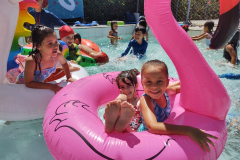 IMG_20231108_133032446_BURST001