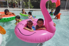 IMG_20231108_133943562_BURST001