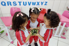 IMG_20230317_133924907_BURST001