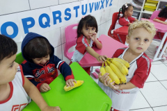IMG_20230317_135531912_BURST001