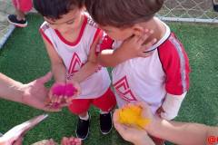 IMG_20260206_164611