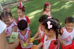 IMG_20260206_164931