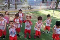 IMG_20260206_165252