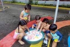 IMG_20260302_161335679_BURST001