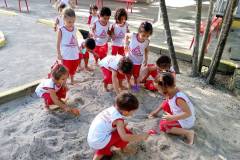 IMG_20240226_162818