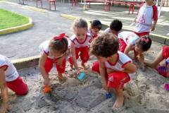 IMG_20240226_162830