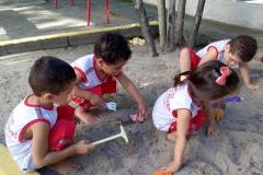 IMG_20240226_162849