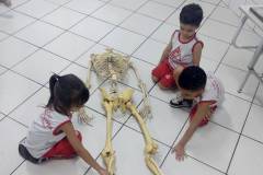 IMG_20251204_134542710