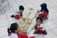 IMG_20251204_134634504_BURST001