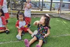 IMG_20260417_143052864_BURST001