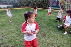 IMG_20250314_164322363_BURST001