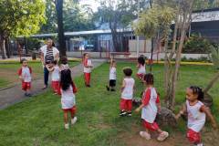 IMG_20250314_164330043