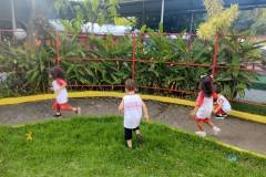 IMG_20250314_164353459