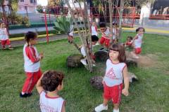 IMG_20250314_164428094_BURST001