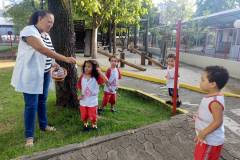 IMG_20250314_164453281