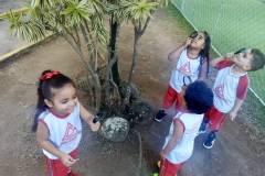 IMG_20260617_140336957_BURST001