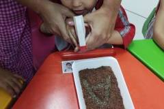 IMG_20260608_163453157